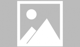 成人免费视频在线观看